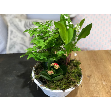 Muguet sous les bois